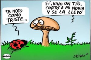 Chorradas de colores