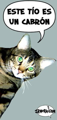 Hoy postea mi gato