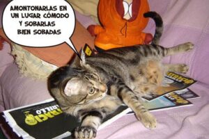 ¿Cómo lee un gato una revista?