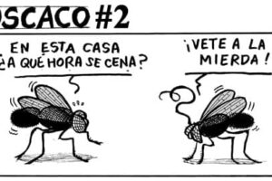 230109-moscaco-02