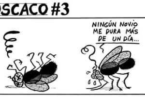 Guarriñeta Moscaco #3