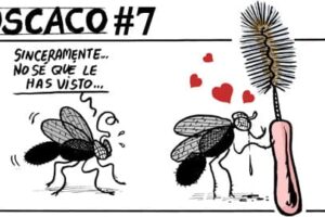 Guarriñeta Moscaco #7
