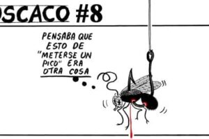 010209-moscaco-08