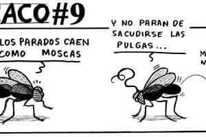 Guarriñeta Moscaco #9