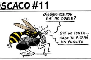 Guarriñeta Moscaco #11