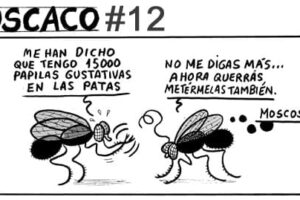 Guarriñeta Moscaco #12