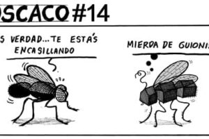 Guarriñeta Moscaco #14