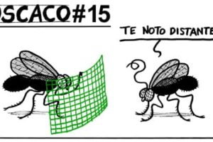 Guarriñeta Moscaco #15