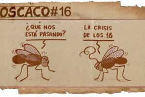 Guarriñeta Moscaco #16