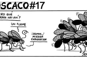 Guarriñeta Moscaco #17