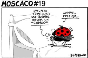 Guarriñeta Moscaco #19