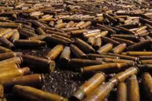 El señor del guisante