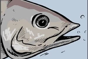 El paro del autónomo