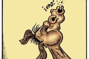 Promusicae vs Esperantia