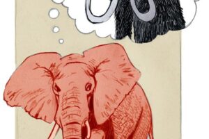 No pienses en un elefante