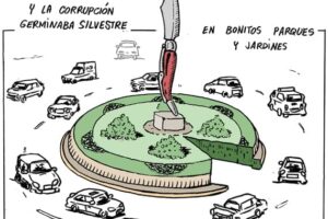 Operación Madeja