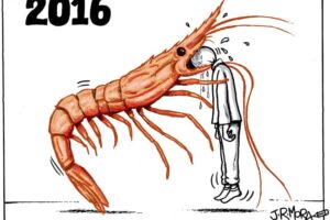 Resumen 2016