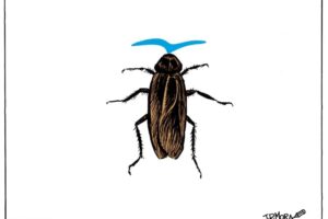 El lenguaje de los insectos