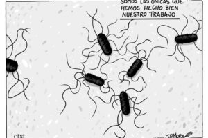 Listeriosis