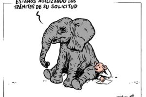 El estado de su solicitud del Ingreso Mínimo Vital