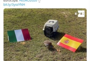 La agencia EFE traslada su sede central a un zoológico