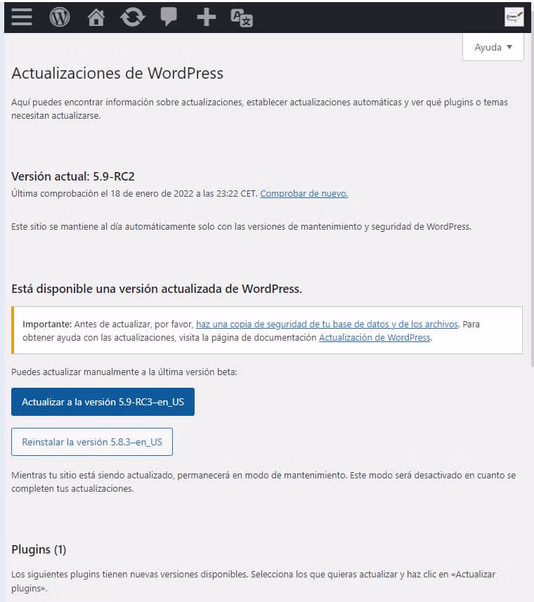 Probando WordPress 5.9 2