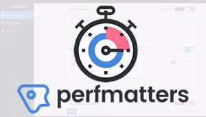 Perfmatters, konfigurationsguide