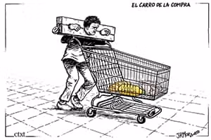 El carro de la compra