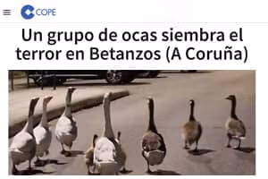 Un grupo de periodistas siembra el terror en internet Un grupo de periodistas siembra el terror en internet