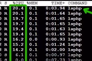 Procesos de LiteSpeed bloquean la página después de publicar un post