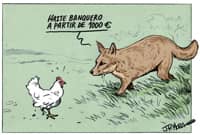 Animales