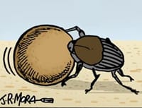 Bichos
