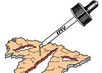 Ingreso Mínimo Vital