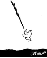 Paz