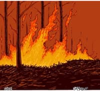 Incendios