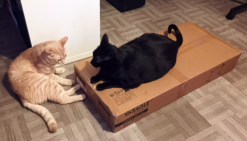 Soporte eléctrico para escritorio elevable Soporte eléctrico para escritorio elevable