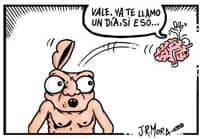 Tontos