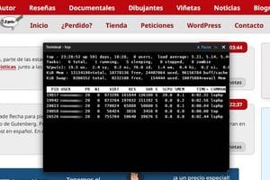Monitorizar el servidor desde WordPress: Terminal "top" flotante sin plugins